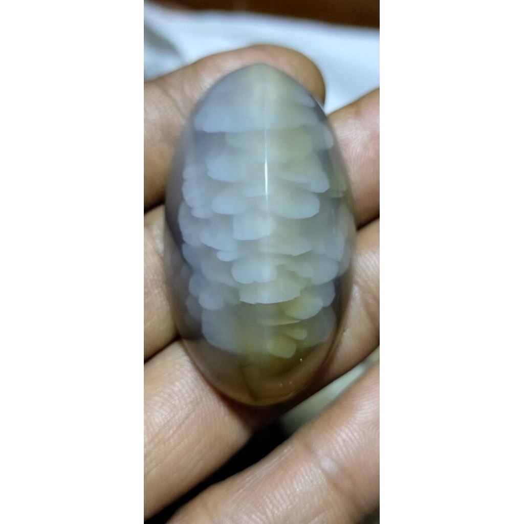batu akik pandan sisik betok