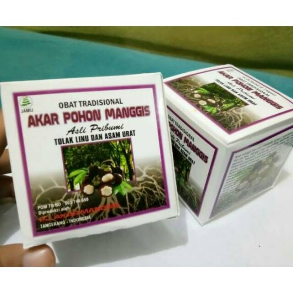 akar pohon manggis original