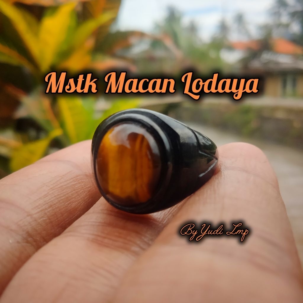 Cincin Macan Lodaya By Yudi Lmp