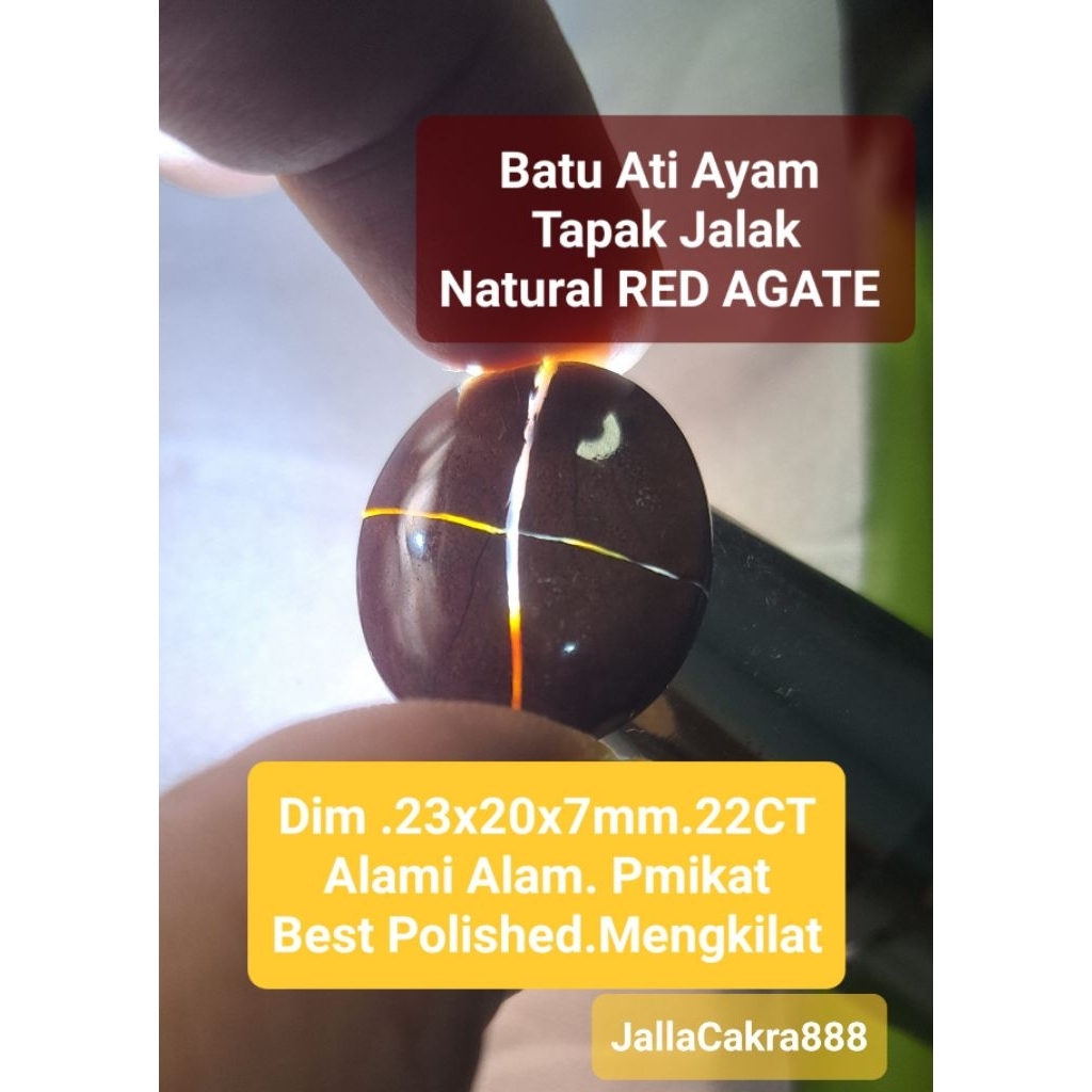 Batu Natural Tapak Jalak AtiAyam RED JASPER Akt1f Alami | Batu Lawasan Vintage Alam B00ster | Cincin