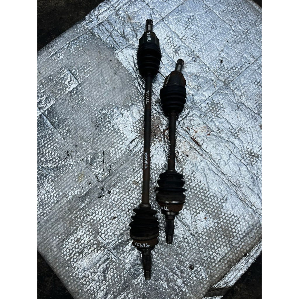 Cv Joint Timor