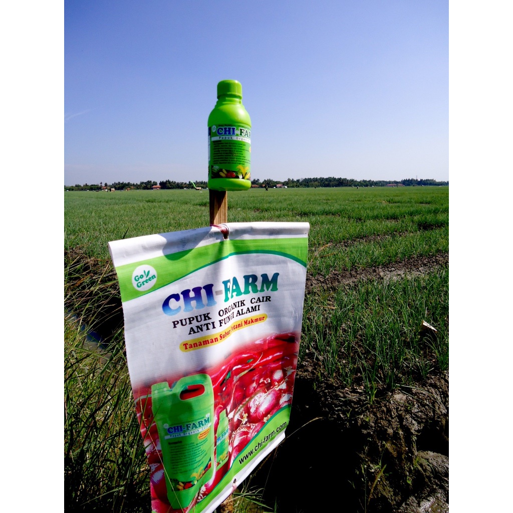 PROMO 500mL Pupuk Organik ChiFam Best Seller Terjamin / PUPUK CHITOSAN SERBAGUNA AMAN SEMUA TANAMAN
