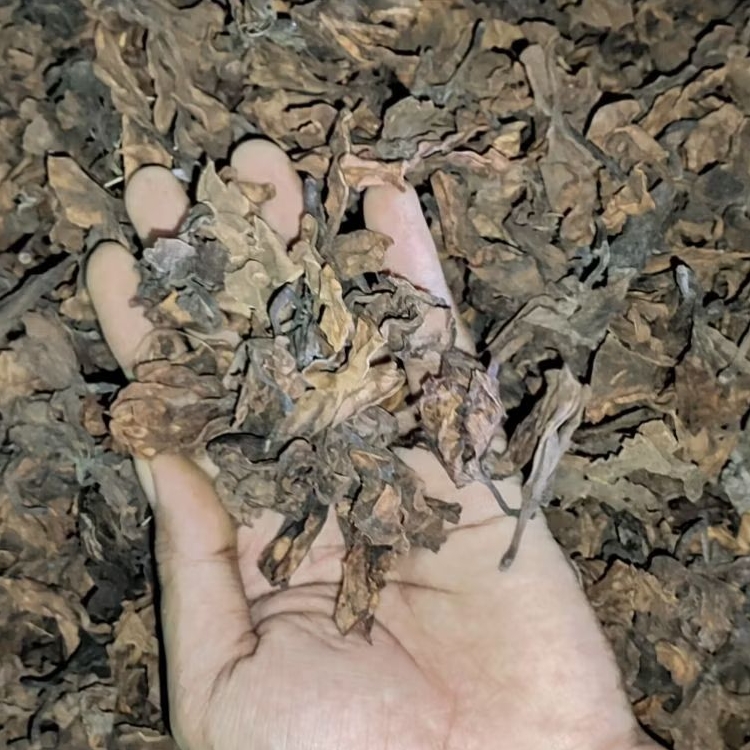 1KG Bunga Kamboja Kering Rempah Alami