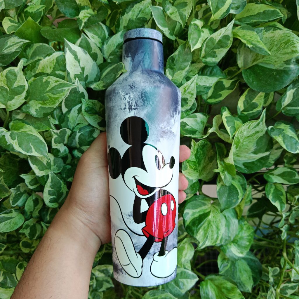 Corkcicle Canteen 16Oz (475Ml) Botol Minum Tumbler Stainless Insulated Dingin 25 Jam Co