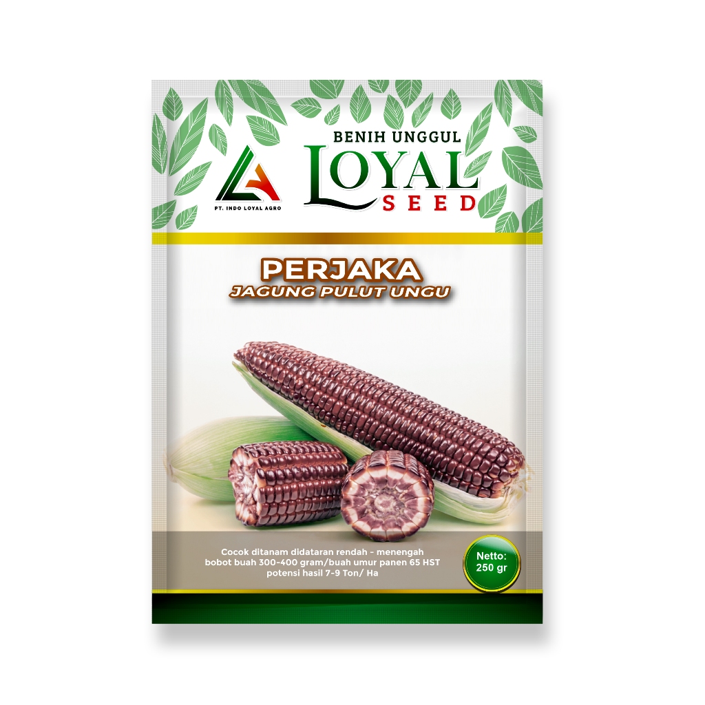 BENIH JAGUNG PULUT UNGU UNGGUL PERJAKA  250 GR CAP LOYAL SEED
