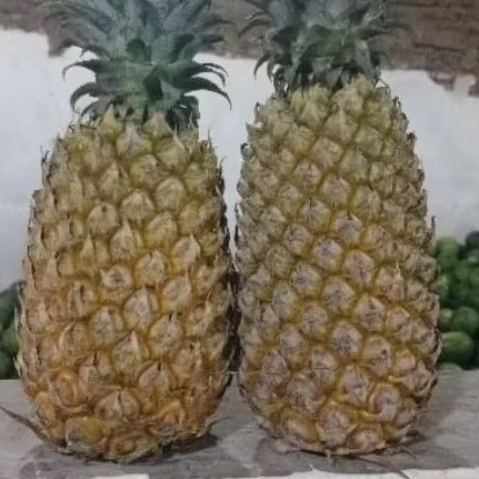 nanas palembang  jumbo utuh tanpa kupas 1 pcs