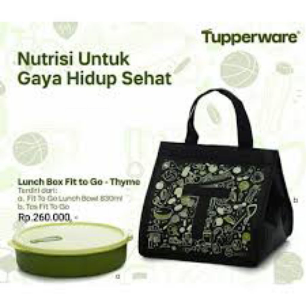 fit to go tupperware