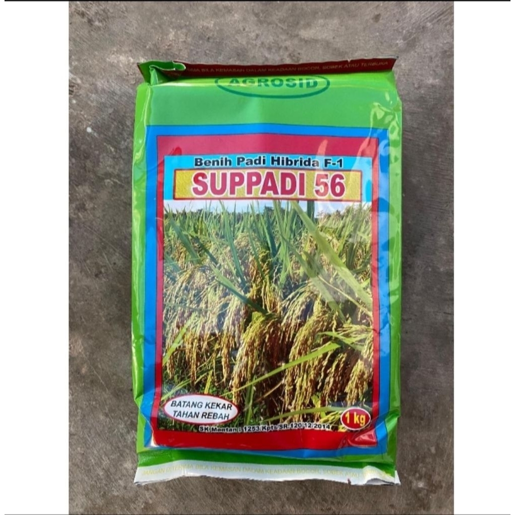 BENIH PADI HIBRIDA SUPADI 56 ORIGINAL 100%