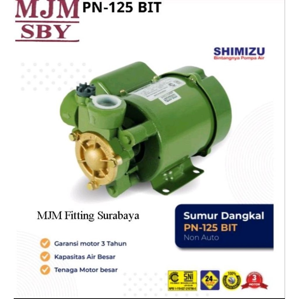 Pompa Air shimizu PN 125 BIT