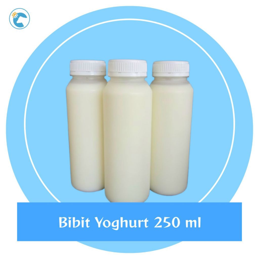Bibit Yoghurt 250 ml