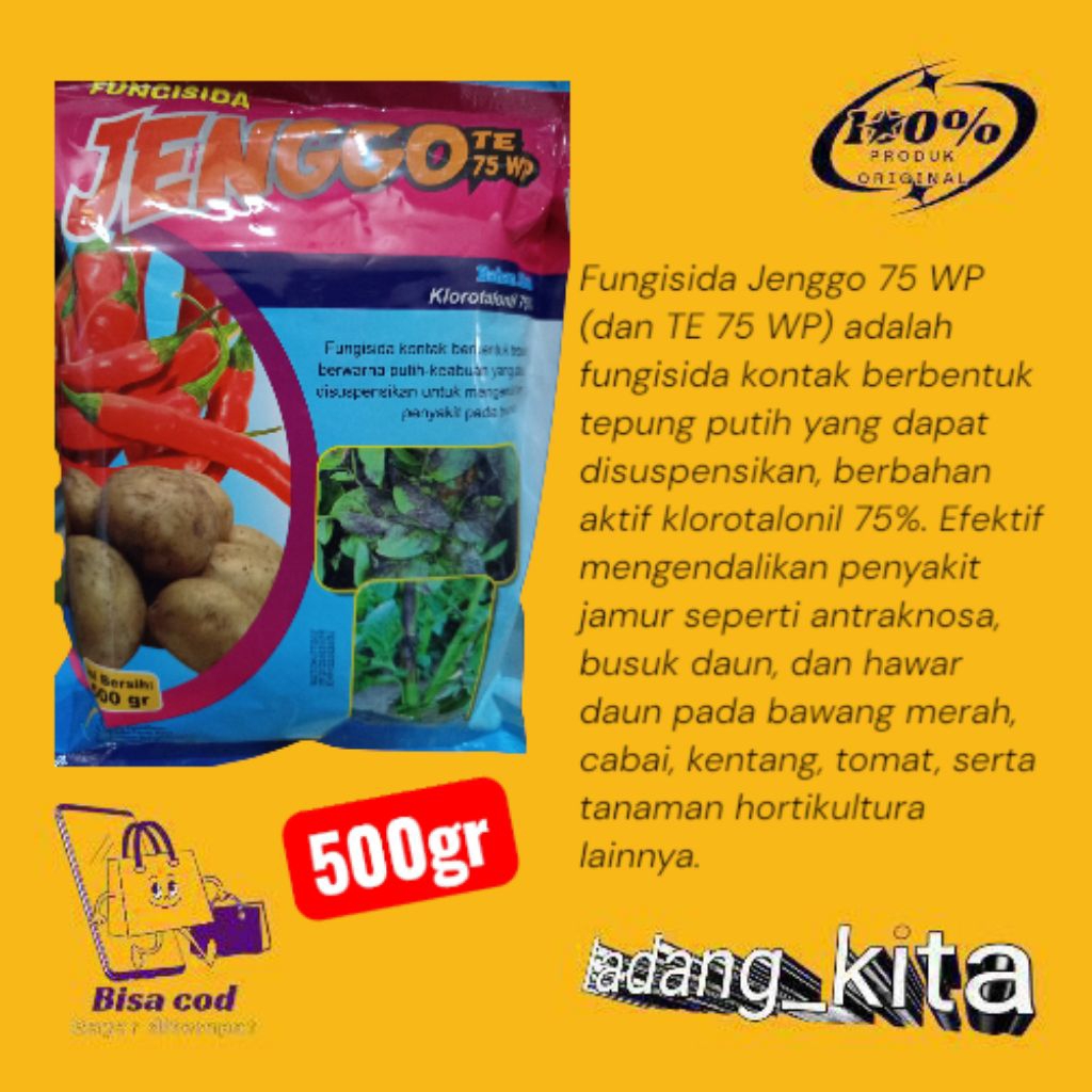 FUNGISIDA JENGGO  75 WP KLOROTALONIL 75%