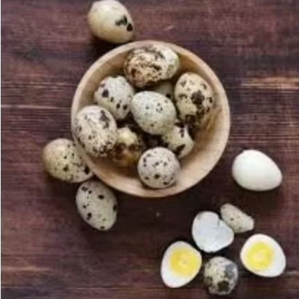 TELUR PUYUH MATENG 10PCS