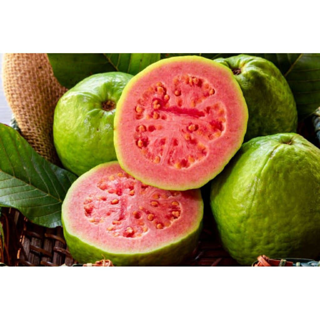 Jambu merah Nuansa jambu merah per 1kg