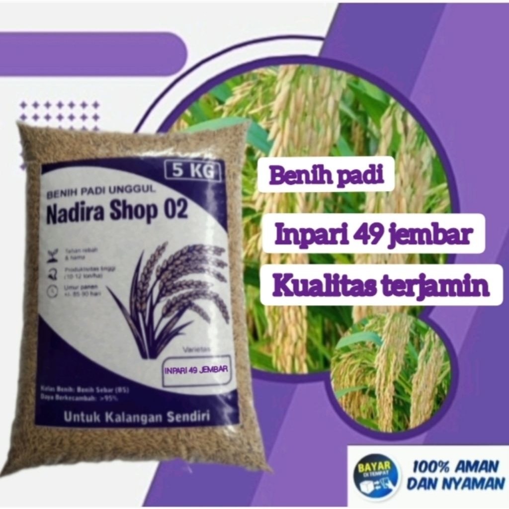 Benih bibit padi inpari 49 jember kemasan 5kg kualitas terjamin asli 100%