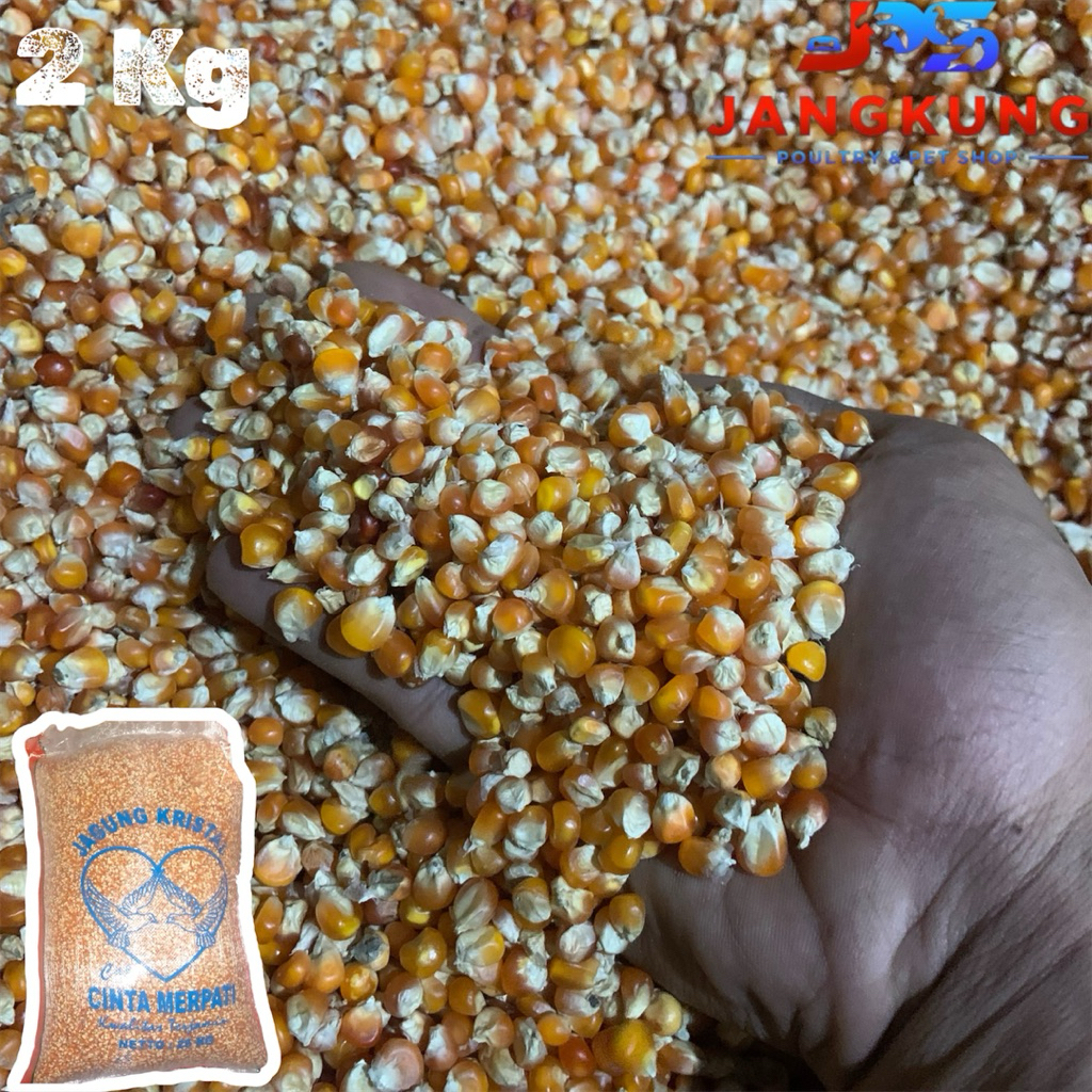 JAGUNG KRISTAL CINTA MERPATI 2KG Pakan Makanan Burung Merpati Dara