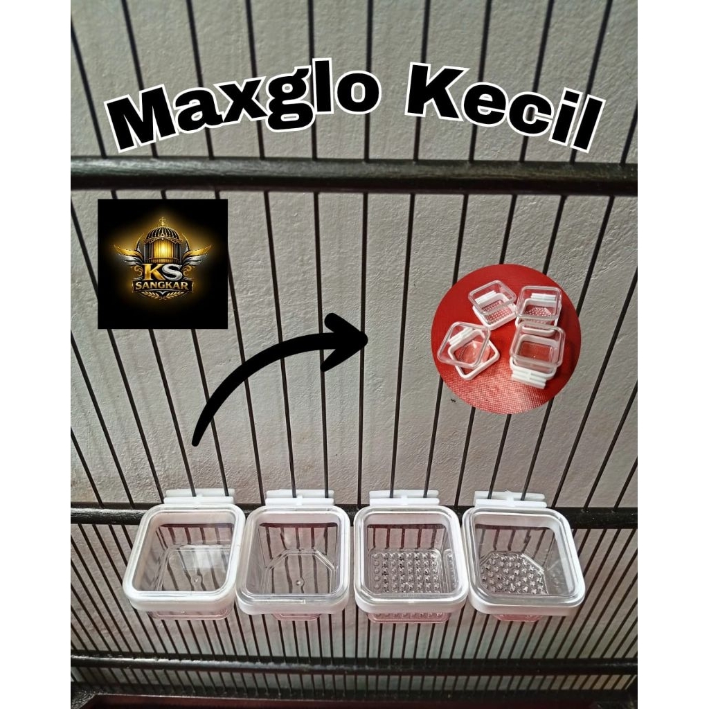 cepuk maxglo kecil cepuk makan minum burung kecil cangkir makan minum burung