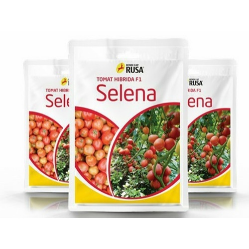 Biji 5 Benih Tomat SELENA F1