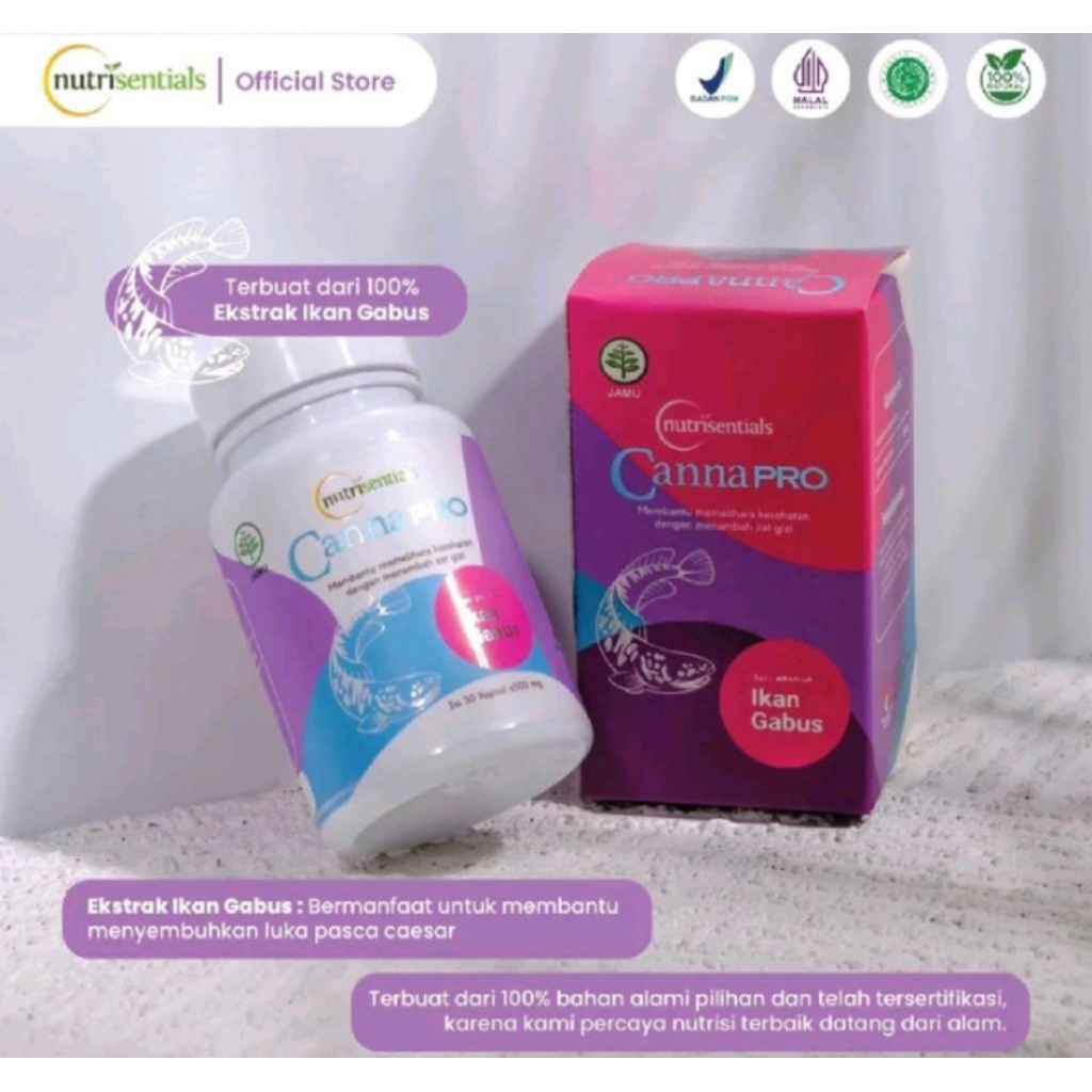 Obat Herbal Ikan Gabus Cannapro Canna Pro Asli Original