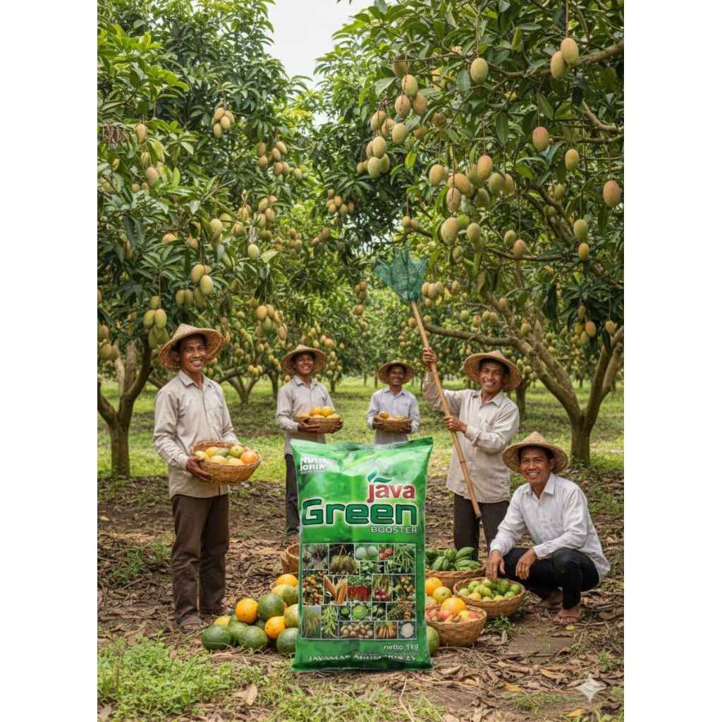 PUPUK JAVA GREEN 1 KG