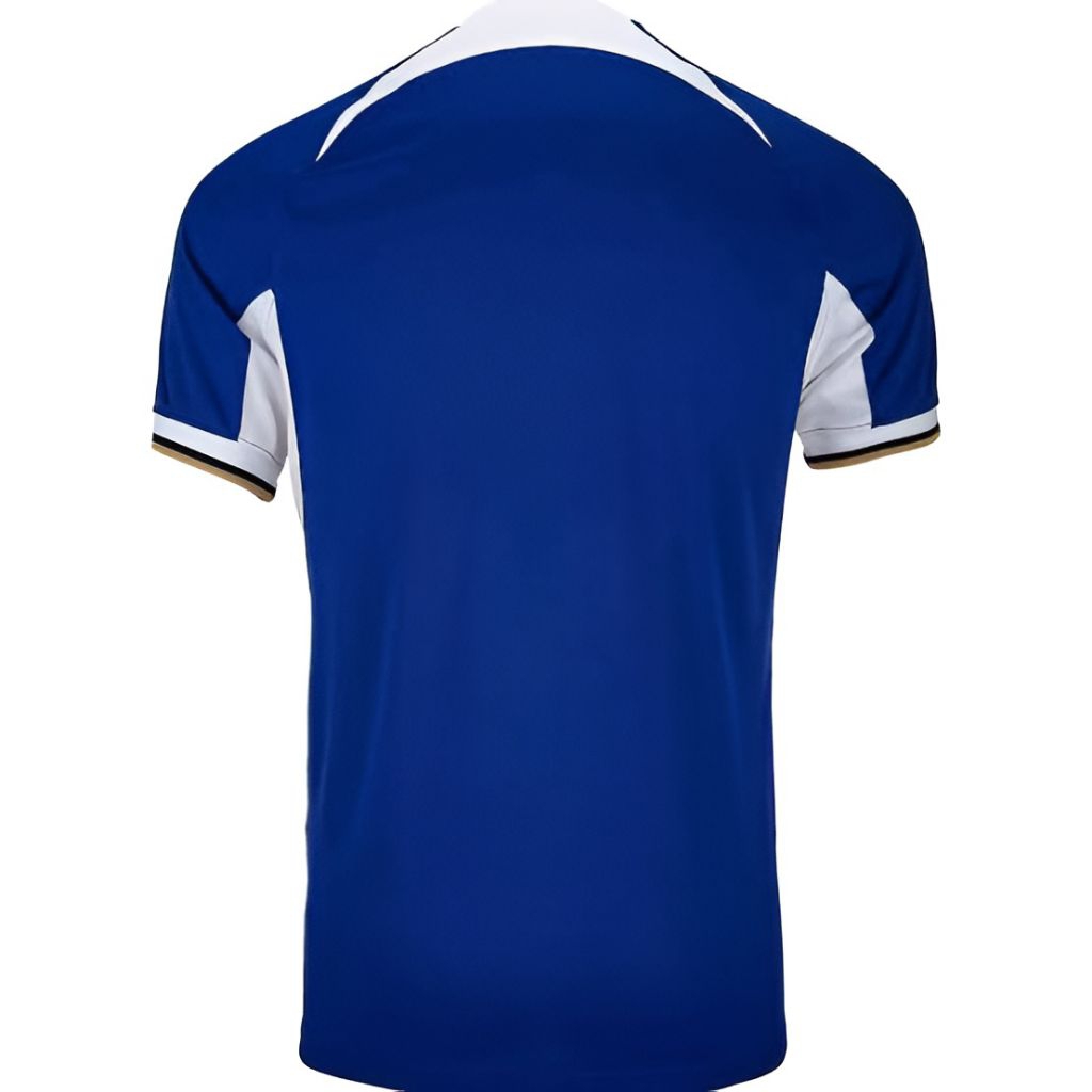 Chelsea Home 2023/2024 PI (ada sponsor)