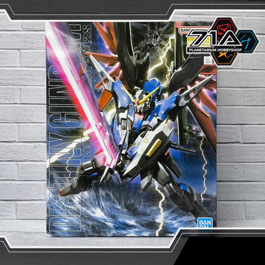 MG 1/100 Destiny Gundam ZGMF-X42S