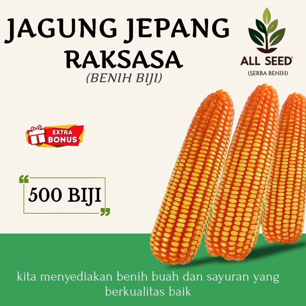( 500 biji ) Benih jagung raksasa jepang | bibit biji jagung jepang | jagung jepang hibrida