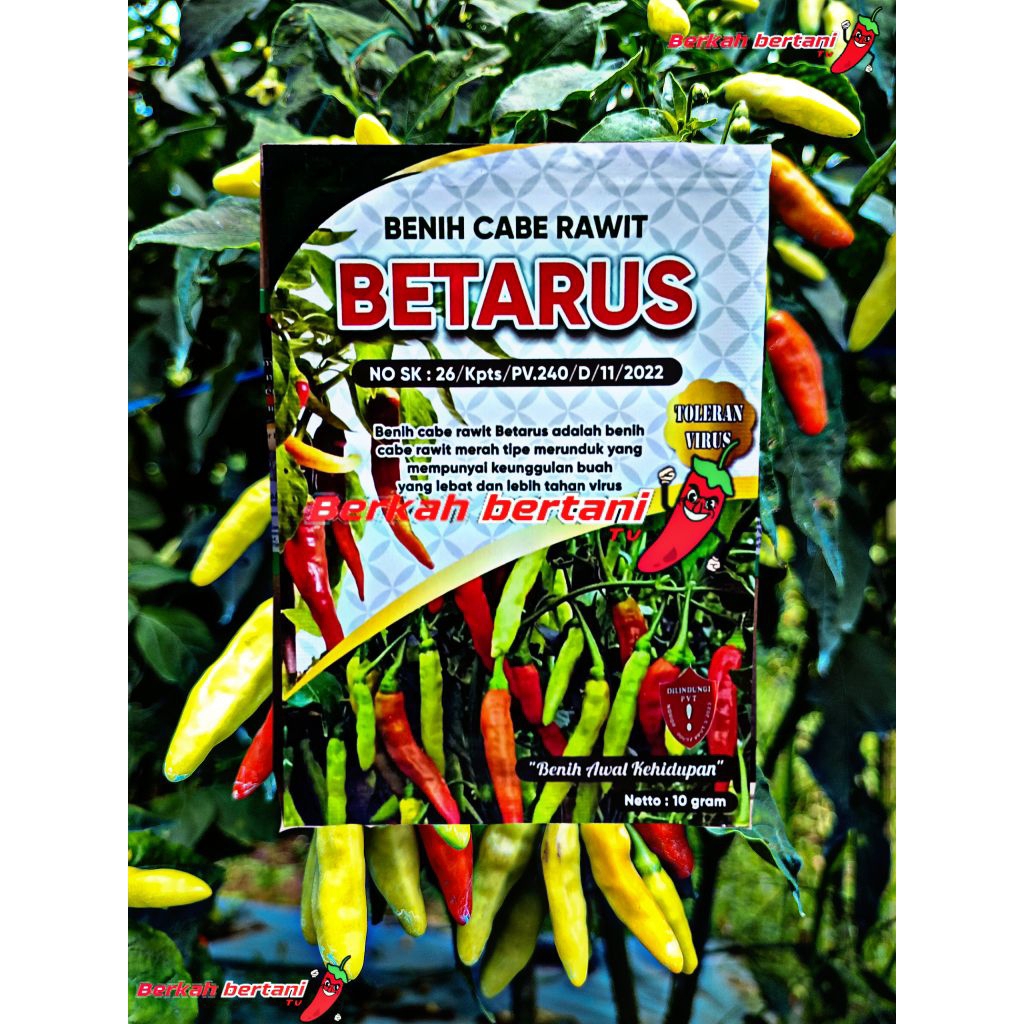 Benih Cabe Rawit BETARUS 10GR Benih rawit Tahan Virus