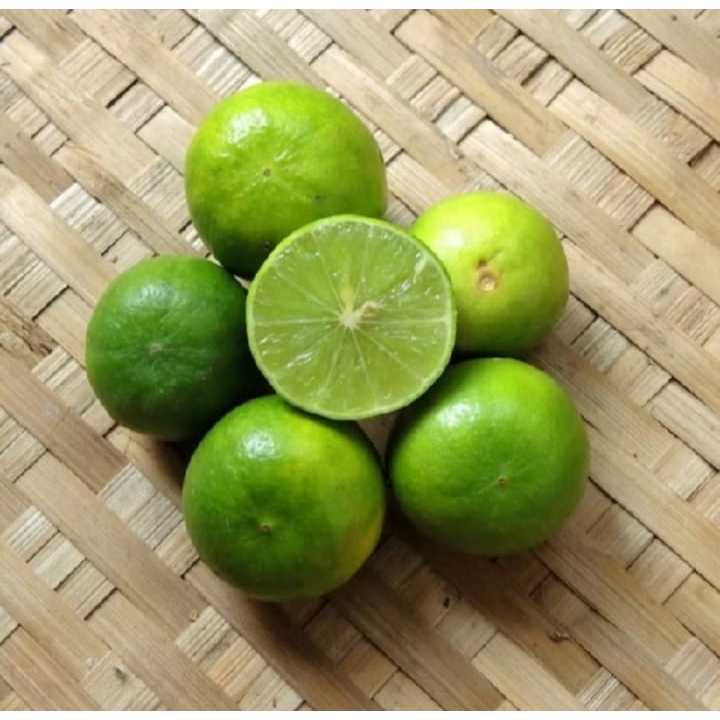 jeruk nipis 1kg fresh | jeruk nipis 1kg fresh | jeruk nipis 1kg fresh