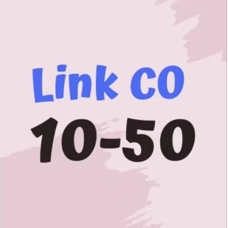 LINK CO
