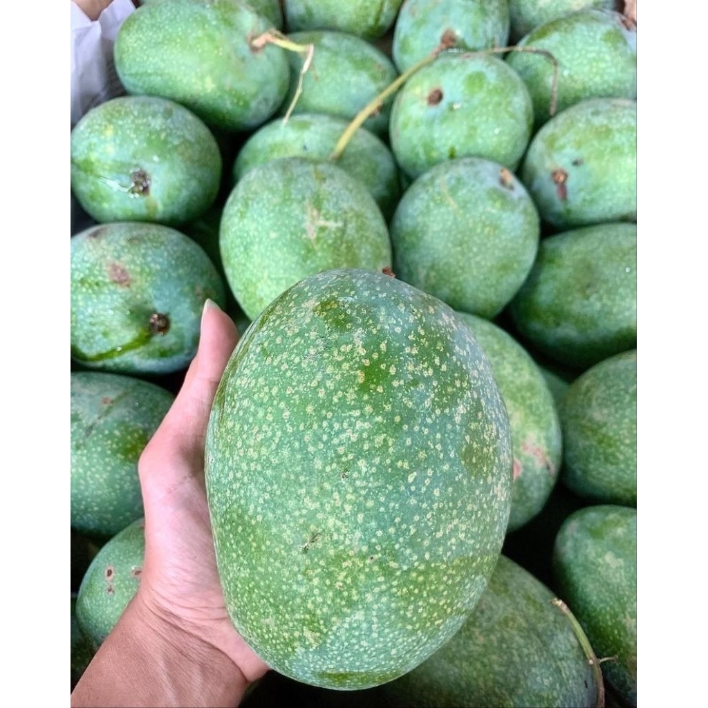 Mangga Madu Manalagi Jumbo Dapat ½kg