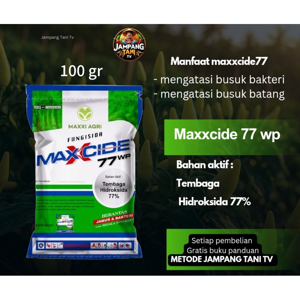 Pungisida MAXXCIDE 77 WP bahan aktif tembaga hidroksida 77%