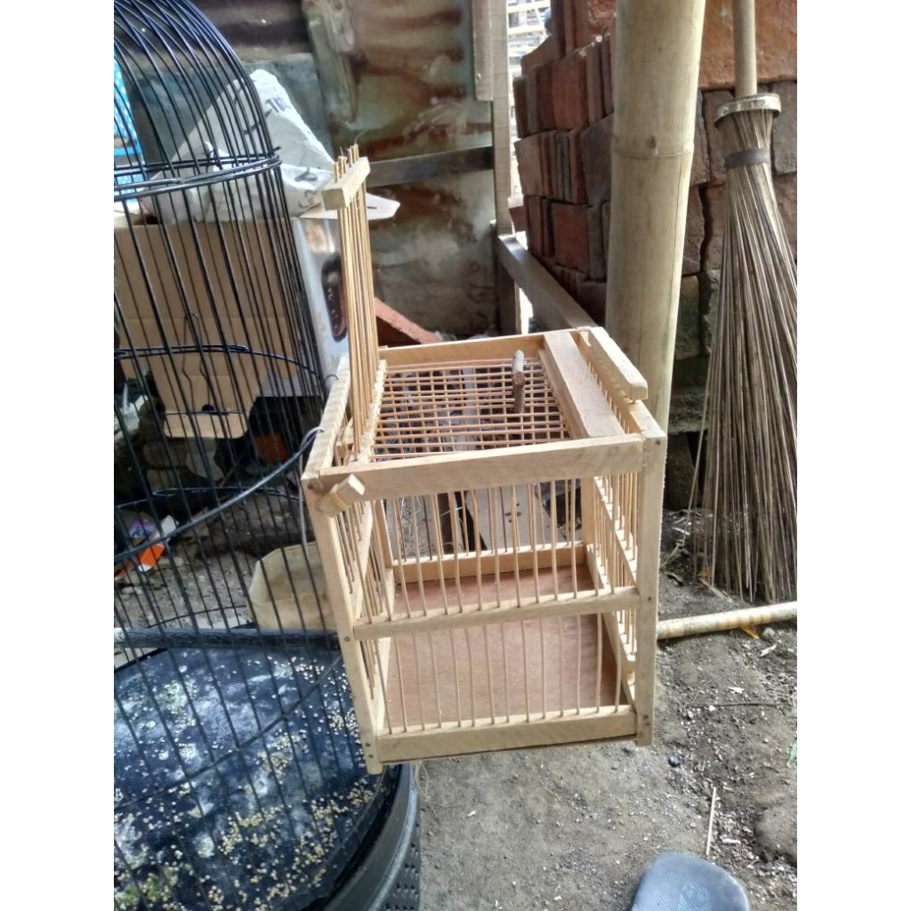 kandang jebak burung kandang pikat burung kecil otomatis nempel kandang