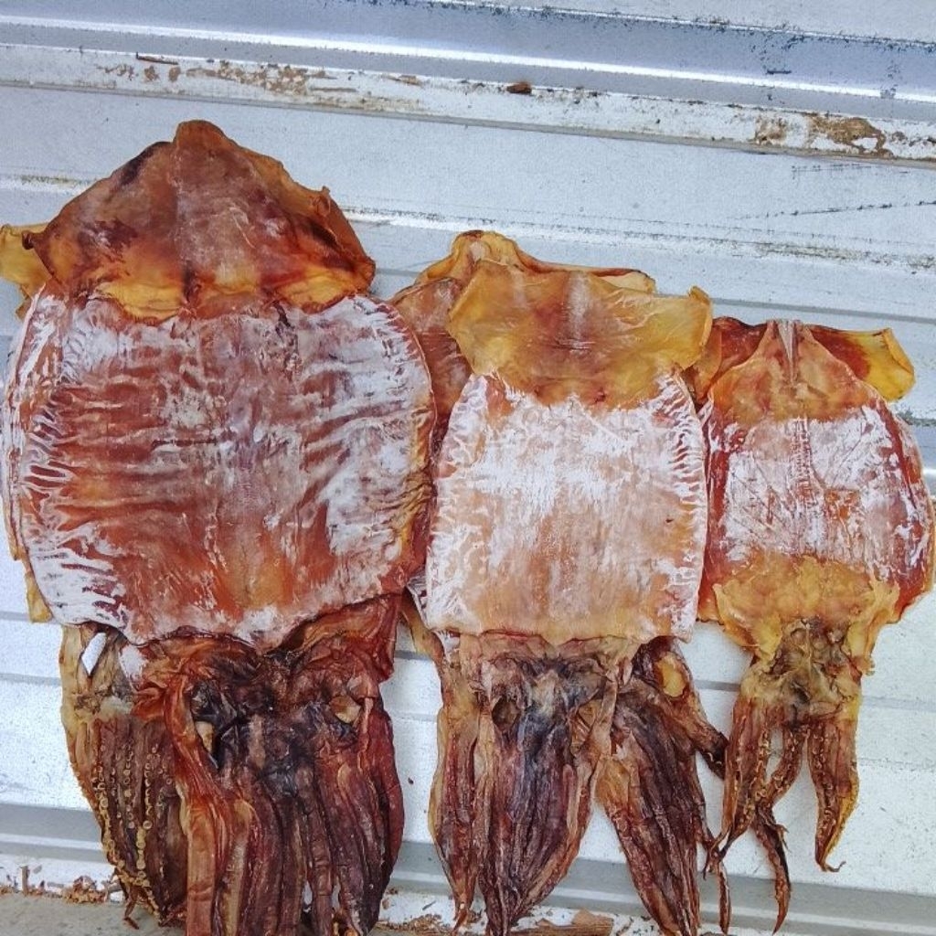 cumi Juhi kering tawar ukuran besar