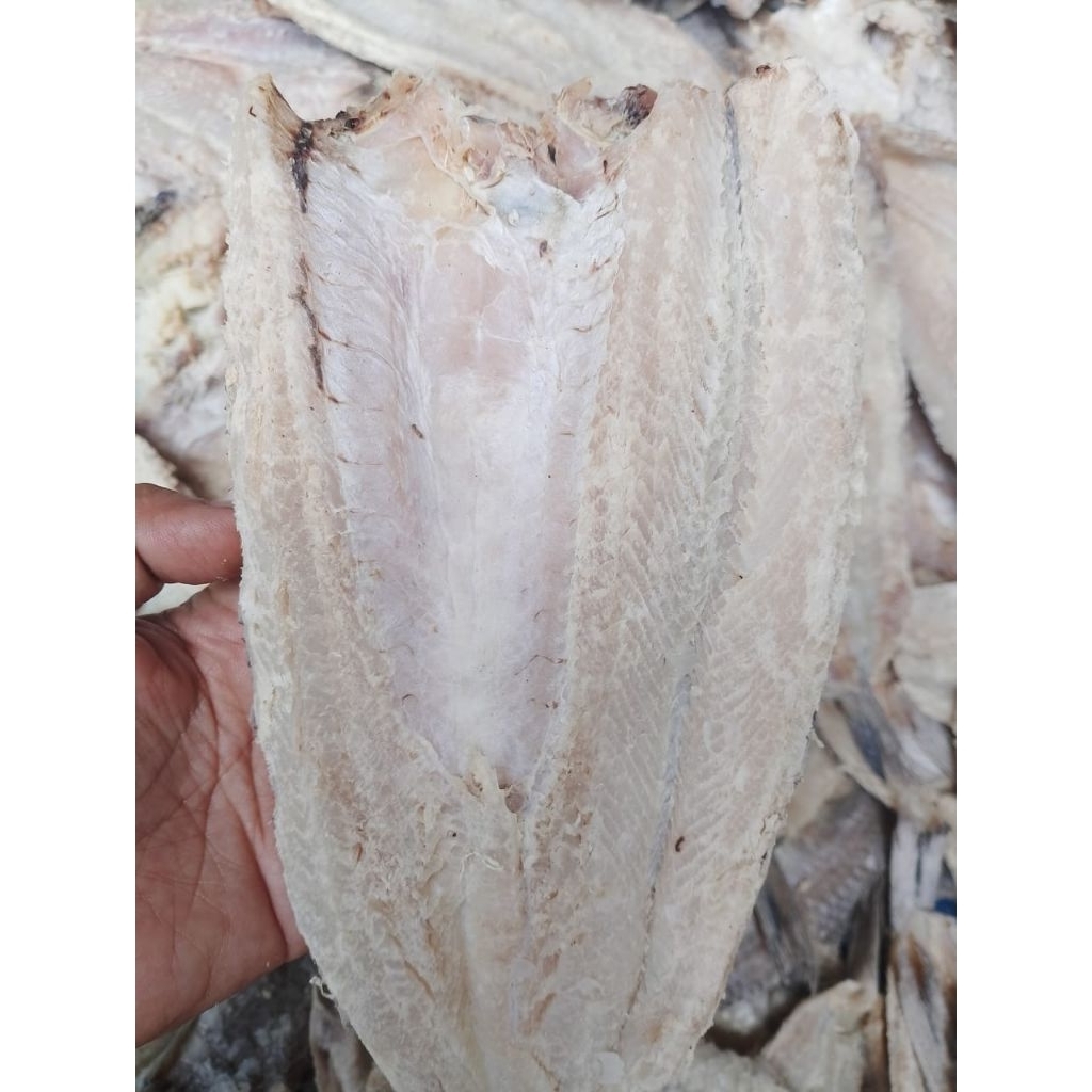 IKAN GABUS/BLOSO ASIN 500 Gram