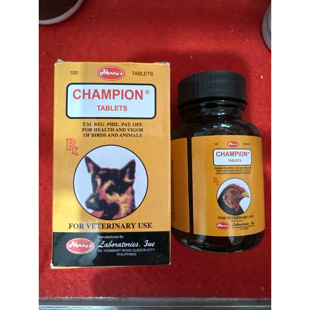 Champion Pemulihan mental ayam