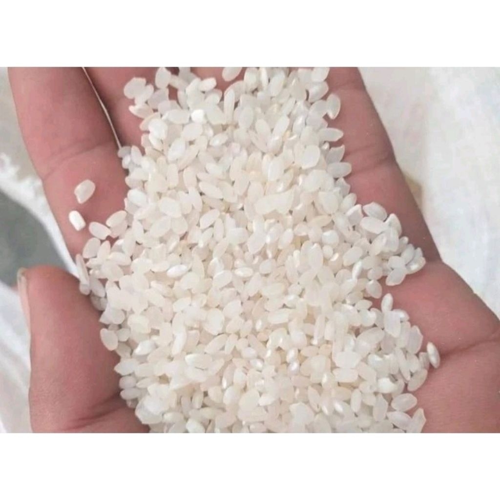 benih padi inpago 13 kemasan 1kg