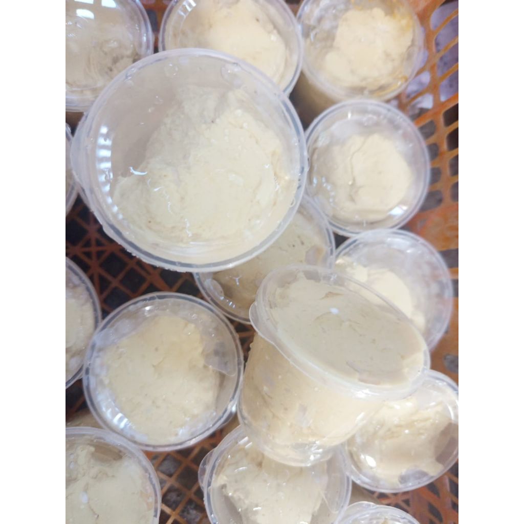 pulut burung  1ons/100gram