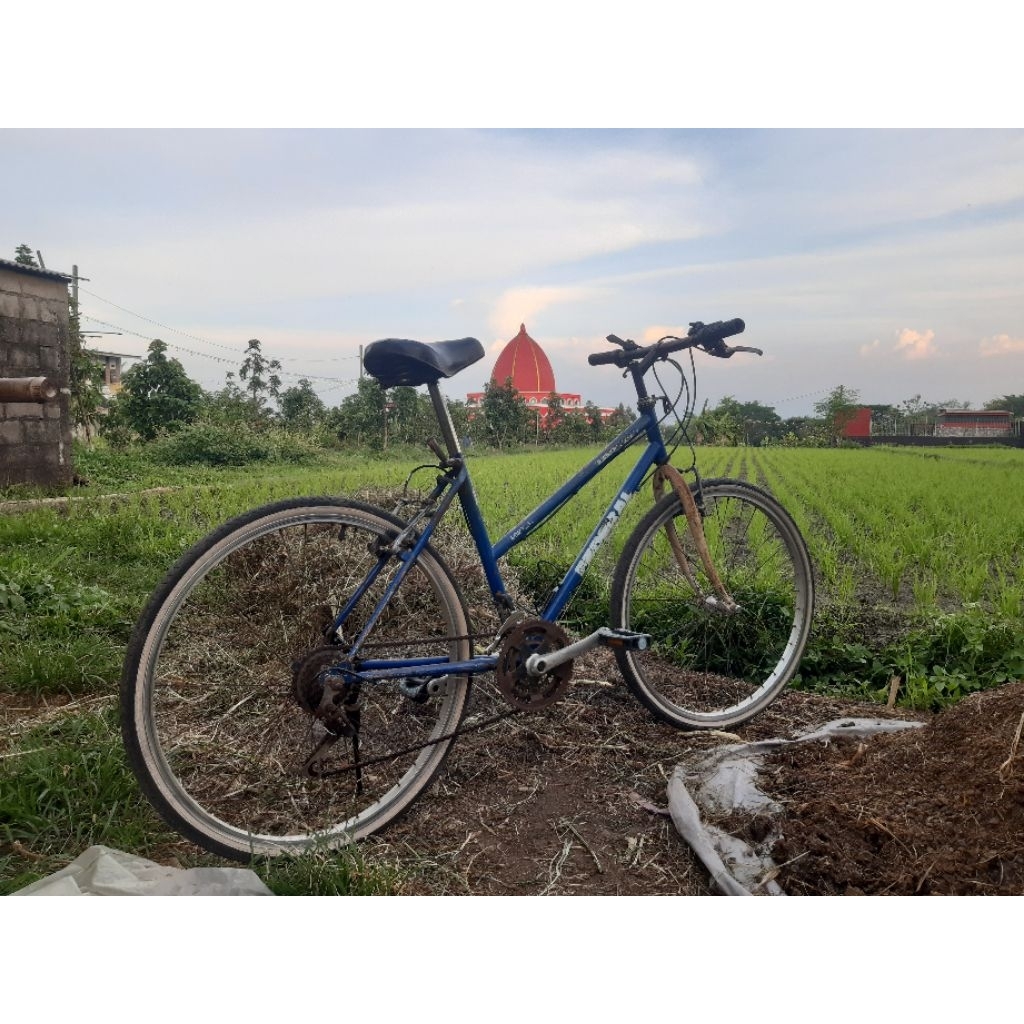sepeda merek federal lady original seri nomber FC×××××