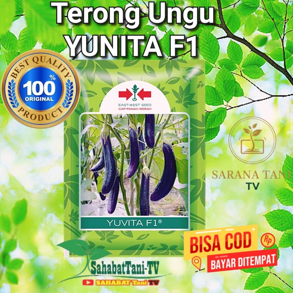 Terong Ungu YUVITA F1 10 GRAM, Varietas ini merupakan generasi penerus dari terong ungu Yumi F1, yan