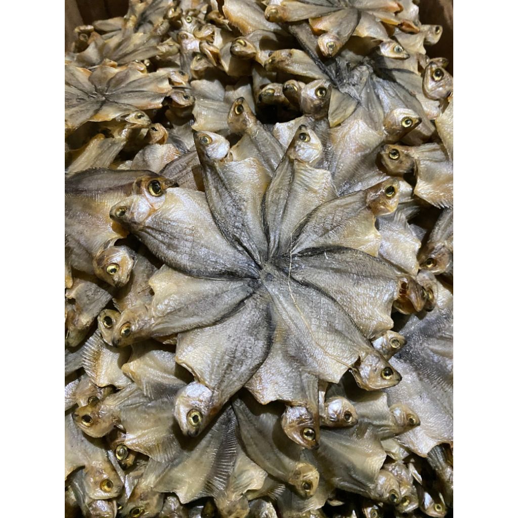 Ikan Asin Sepat Tawar / Sepat Bintang Super Premium