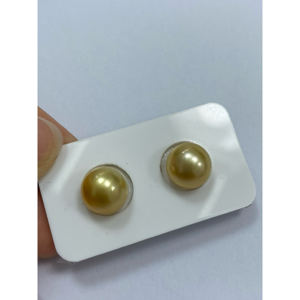 Mutiara laut gold / giwang mutiara laut emas / anting mutiara asli | mutiara laut butiran