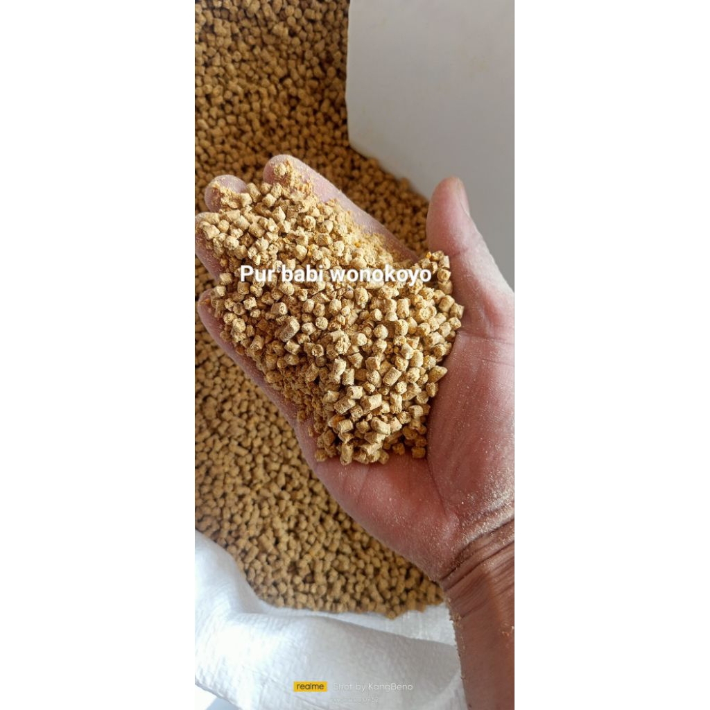 Terlaris PUR Babi wonokoyo untuk unggas (5kg)