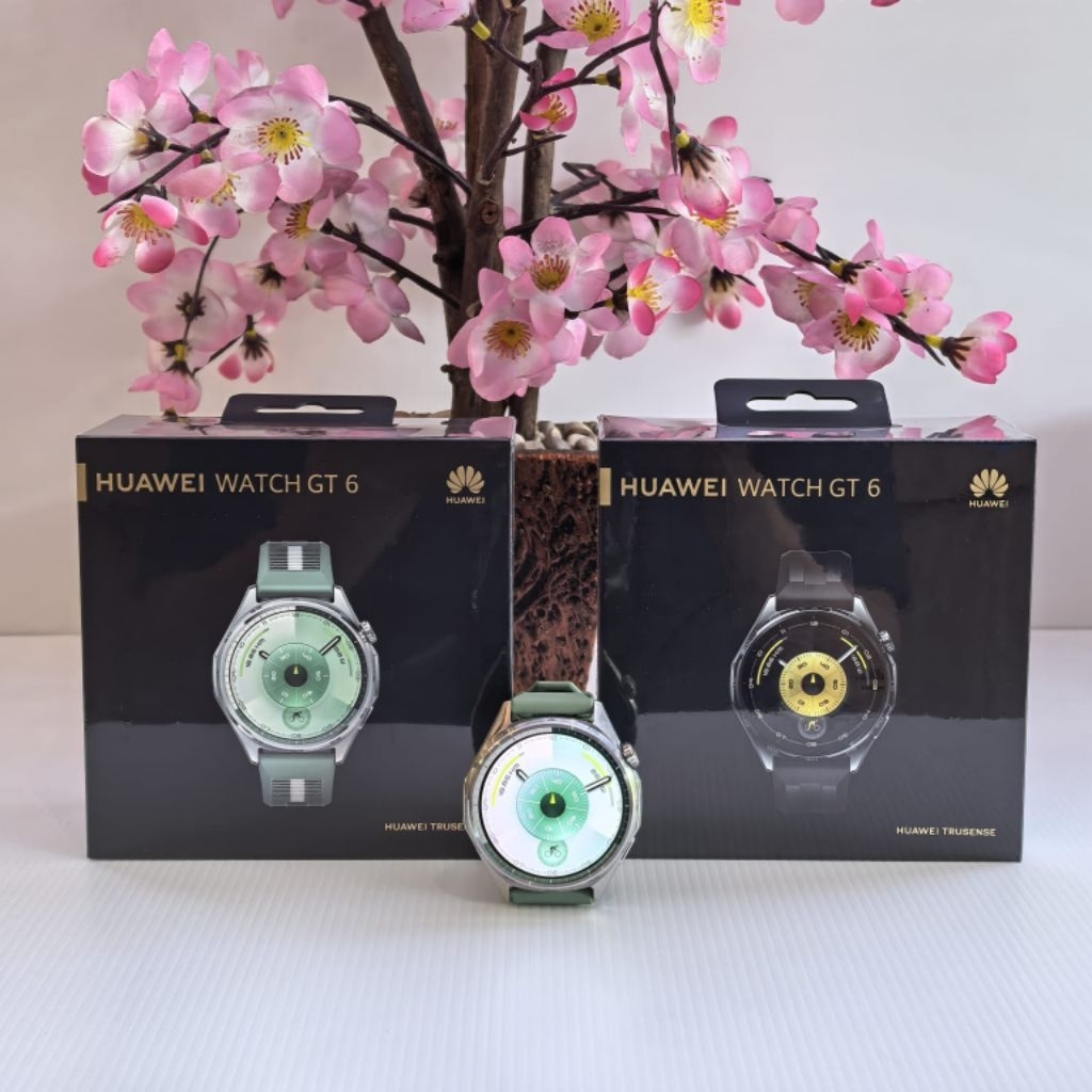 Smartwatch Huawei Watch GT 6