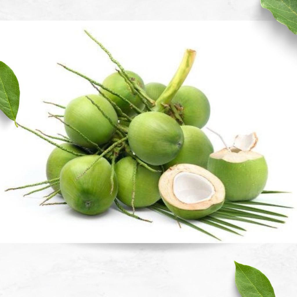 kelapa muda hijau asli per 1 biji