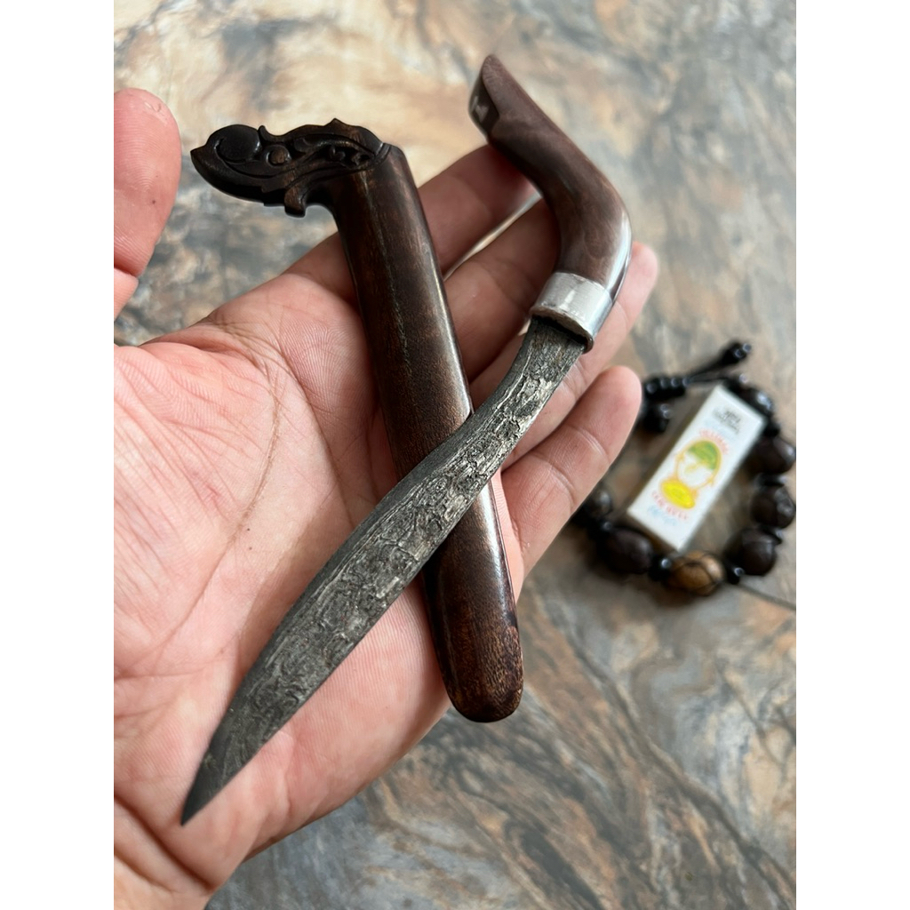 mini gecong91 sikadoi lappaparia