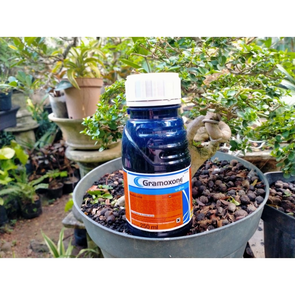 Gramozone 250ml (gramason obat pembasmi rumput)