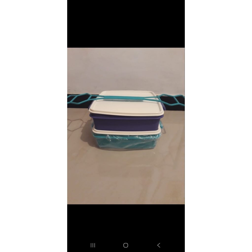 double mate tupperware rantang besar