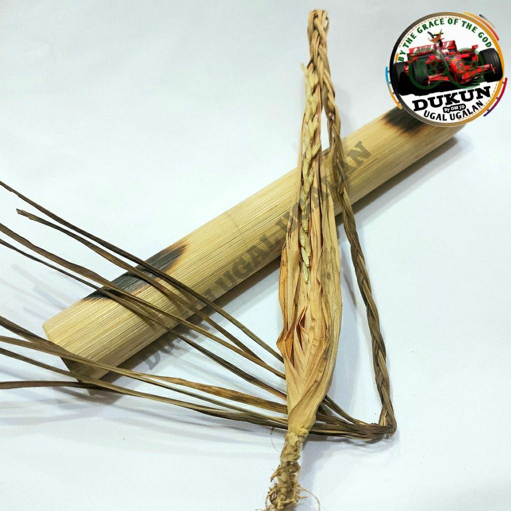 Tanaman Artificial Intelligence Kembang Sereh Bunga Serai Hutan Tunggal Lanang Istimewa