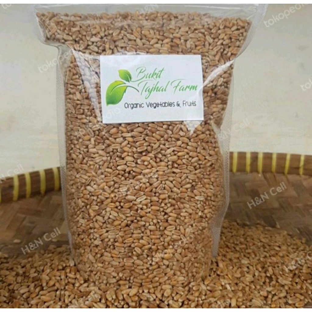 Biji Gandum Utuh 1 kg