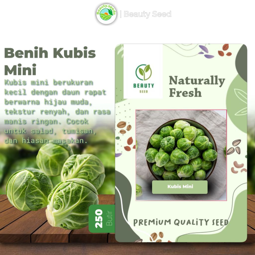 250 Butir Benih Kubis Mini - Kak Kubis Mini Benih Siap Semai Kualitas Unggul